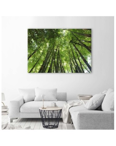 Leinwanddruck - Bambusspitzen | Feeby