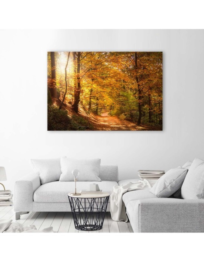 Obraz na płótnie canvas - Las jesienny natura | FEEBY