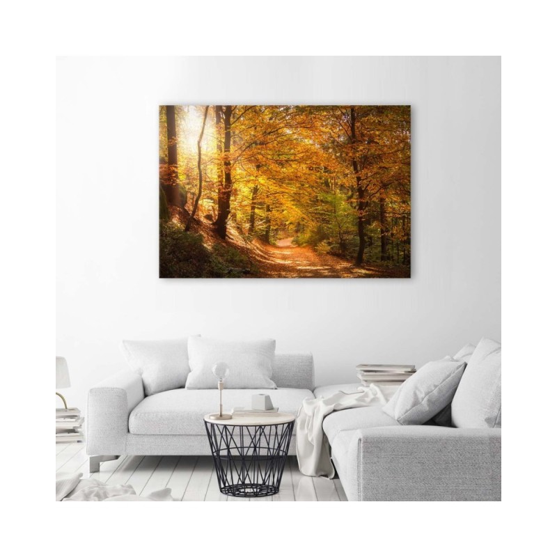 Bild auf Leinwand - Laub auf einem Waldweg | Feeby