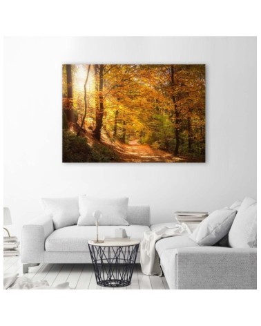 Bild auf Leinwand - Laub auf einem Waldweg | Feeby