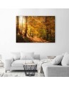 Obraz na płótnie canvas - Las jesienny natura | FEEBY