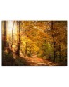 Canvas print - Autumn forest nature | FEEBY