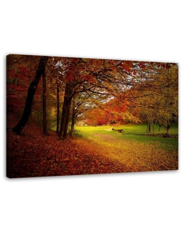 Modern Canvas painting for living room - Forest autumn glade | FEEBY