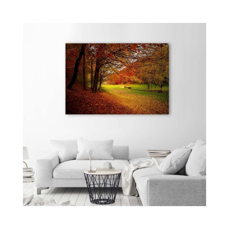 Leinwandbild - Grüne Waldlichtung | Feeby