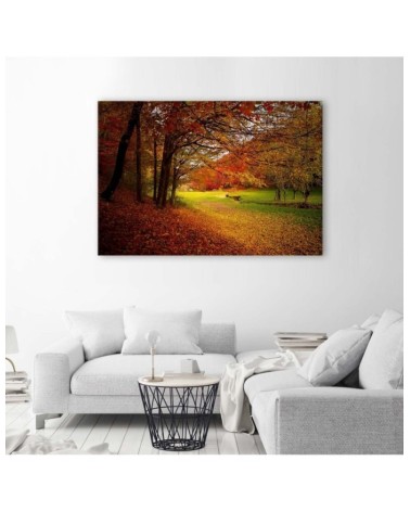 Leinwandbild - Grüne Waldlichtung | Feeby