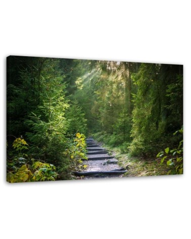 Modernes Wandbild - Pfad in einem grünen Wald | Feeby