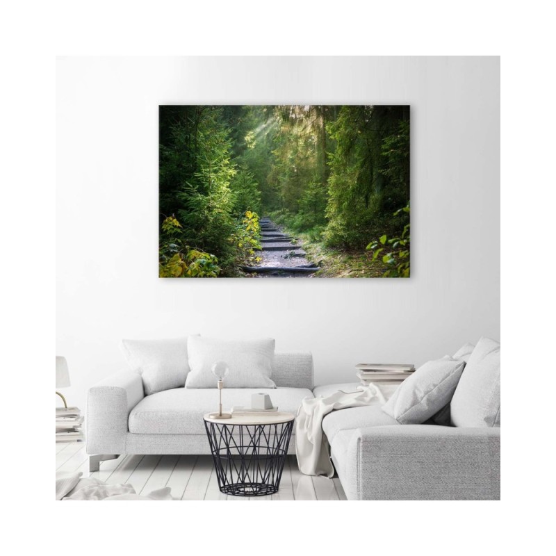 Modernes Wandbild - Pfad in einem grünen Wald | Feeby