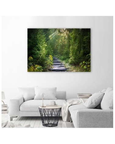 Modernes Wandbild - Pfad in einem grünen Wald | Feeby