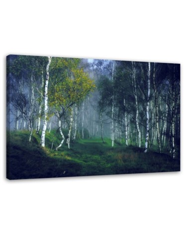 Dekoratives Leinwandbild - Birken im Nebel | Feeby