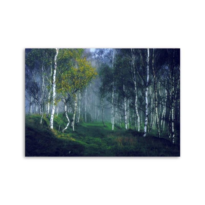 Dekoratives Leinwandbild - Birken im Nebel | Feeby