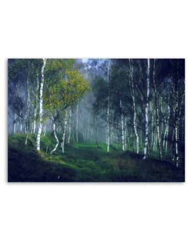 Dekoratives Leinwandbild - Birken im Nebel | Feeby