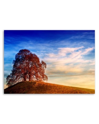 Leinwanddruck - Baum auf einem Hügel | Feeby