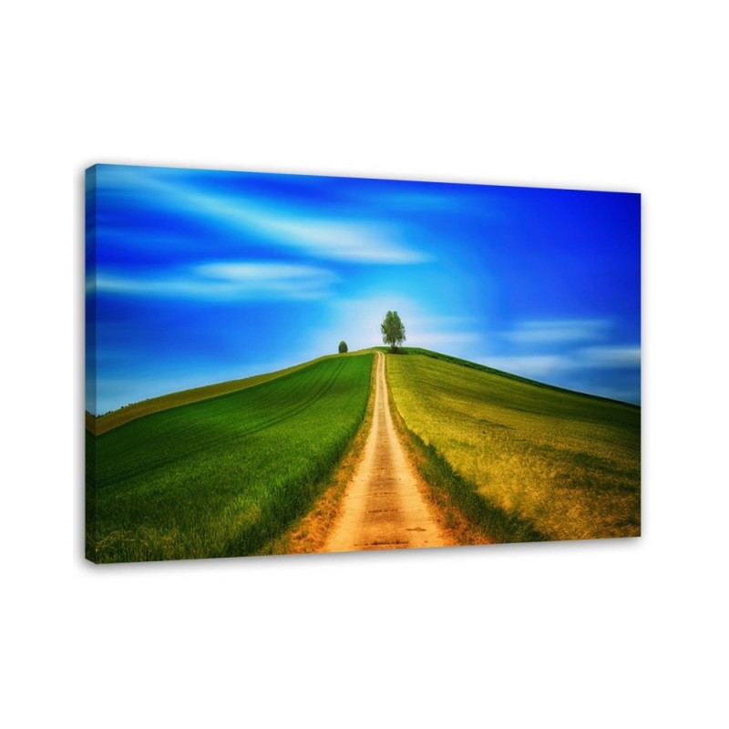Leinwandbild - Der Weg zum Hügel | Feeby