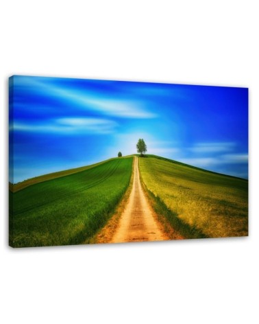 Road to the hill - Canvas print modern | FEEBY