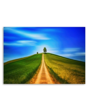 Leinwandbild - Der Weg zum Hügel | Feeby