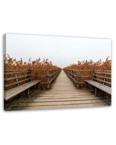 Bridge of dunes road to the beach - Canvas print | FEEBY