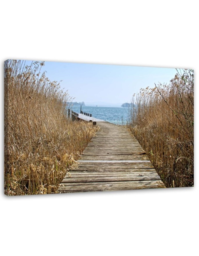 Leinwandbild modern - Brücke im Schilf | Feeby