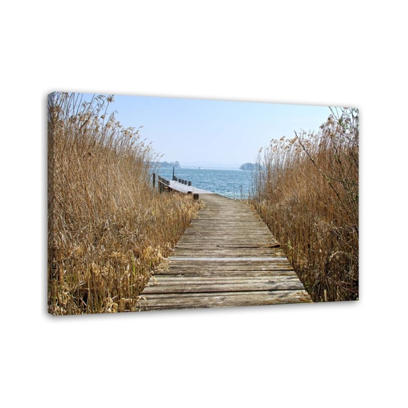 Leinwandbild modern - Brücke im Schilf | Feeby