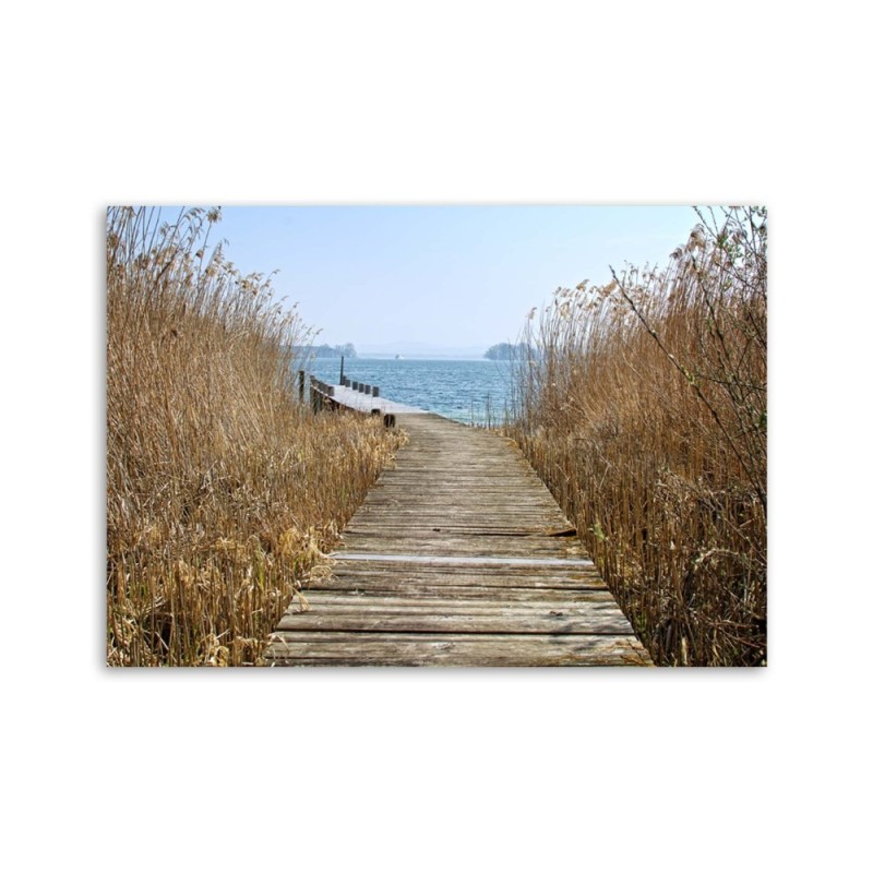 Leinwandbild modern - Brücke im Schilf | Feeby