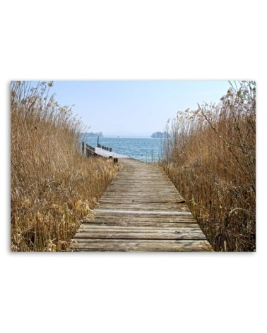 Leinwandbild modern - Brücke im Schilf | Feeby