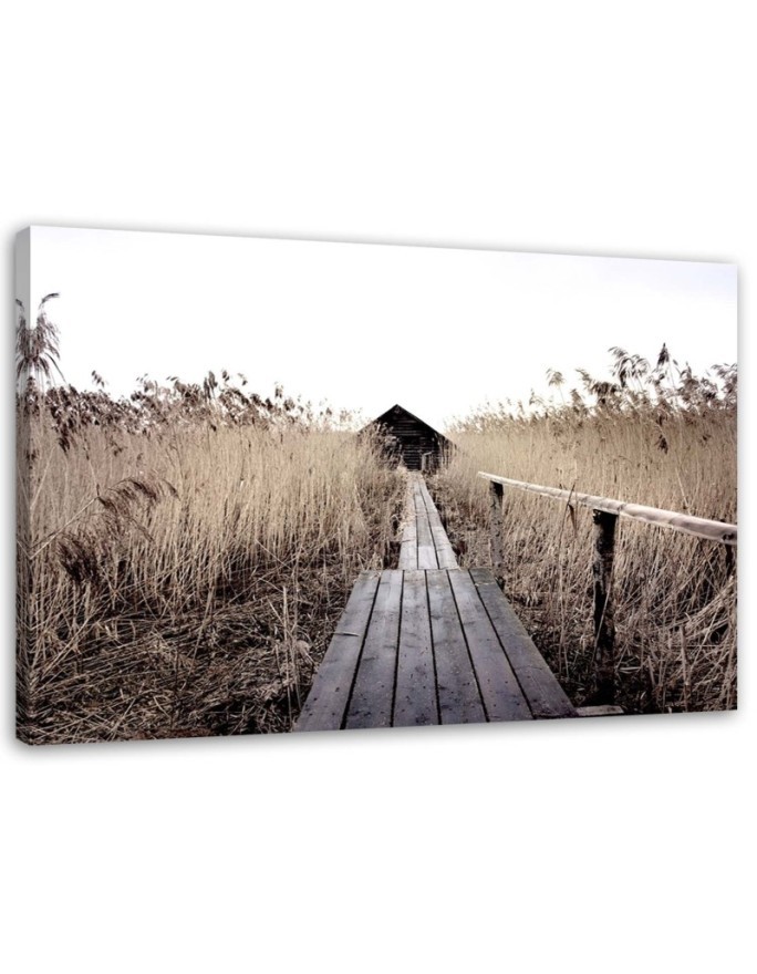Bild auf Leinwand - Alter Steg im hohen Schilf | Feeby