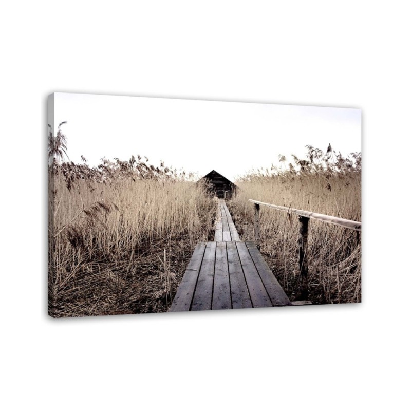 Bild auf Leinwand - Alter Steg im hohen Schilf | Feeby