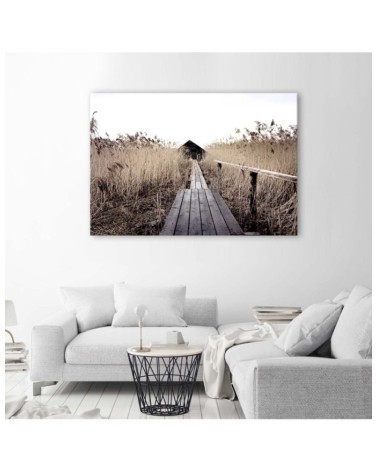 Bild auf Leinwand - Alter Steg im hohen Schilf | Feeby