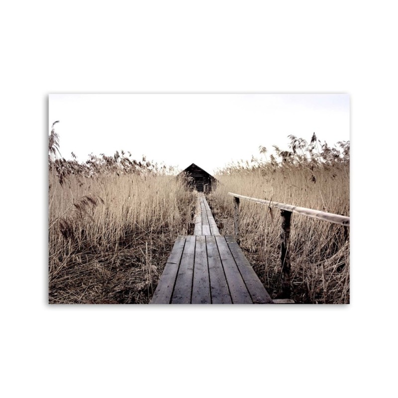 Bild auf Leinwand - Alter Steg im hohen Schilf | Feeby