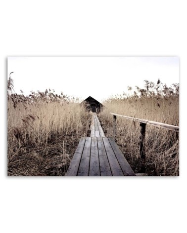Bild auf Leinwand - Alter Steg im hohen Schilf | Feeby
