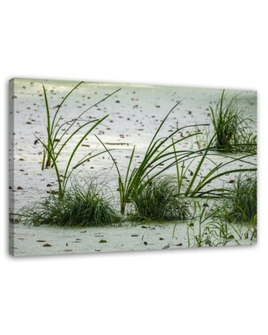 Leinwandbild - Grünes Gras am Strand | Feeby