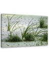 Canvas prints for living room - Green grass on the beach | FEEBY