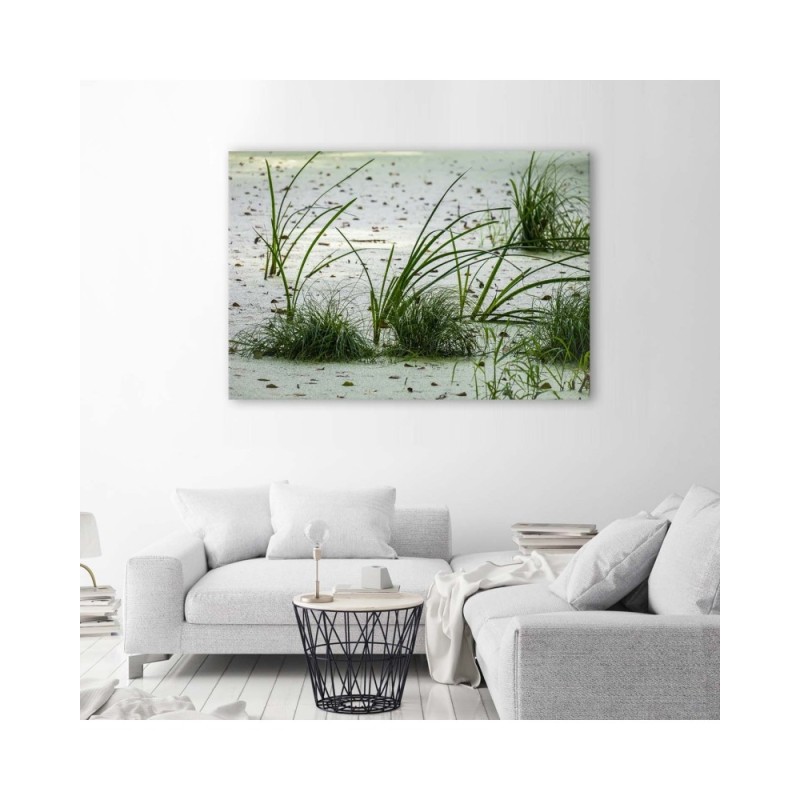 Leinwandbild - Grünes Gras am Strand | Feeby