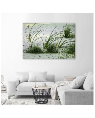 Leinwandbild - Grünes Gras am Strand | Feeby