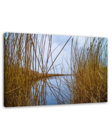 Canvas painting - Reeds on a lake | FEEBY