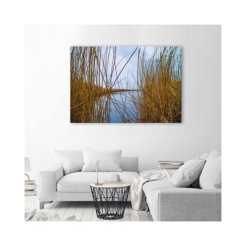 Wandbild für Wohnzimmer - Schilf auf dem See | Feeby