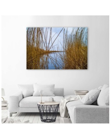 Wandbild für Wohnzimmer - Schilf auf dem See | Feeby