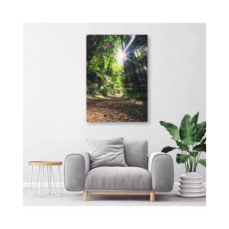 Bild auf Leinwand - Pfad im Dschungel | Feeby