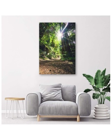 Bild auf Leinwand - Pfad im Dschungel | Feeby