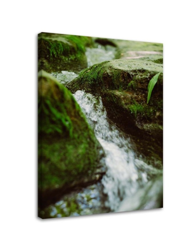 Bild auf Leinwand - Rauschender Fluss | Feeby