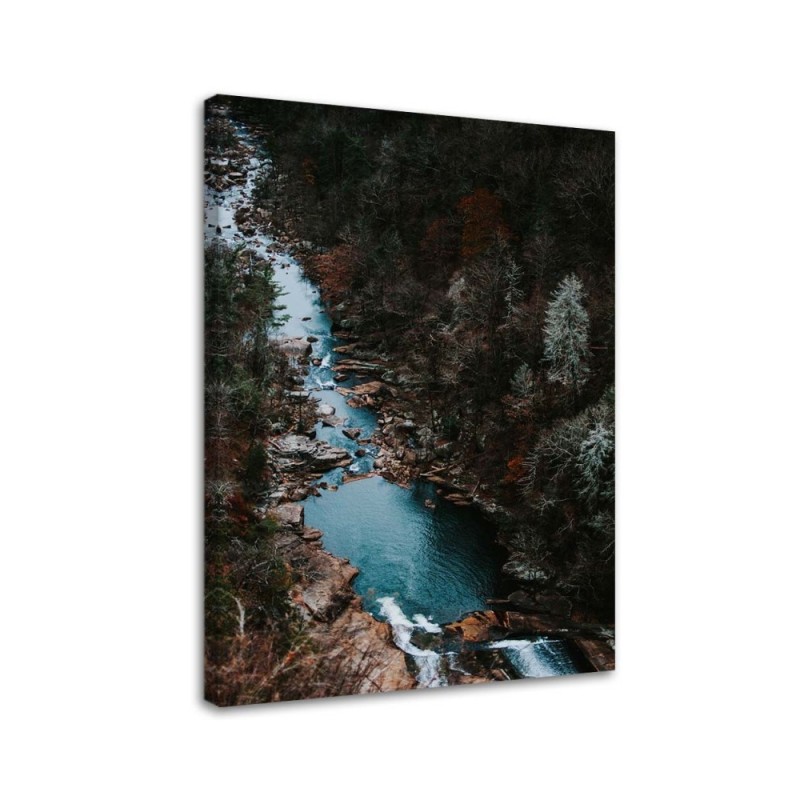 Leinwandbild - Fluss im Wald | Feeby