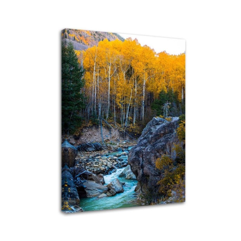 Wandbild für Wohnzimmer - Ein Bach im Wald | Feeby