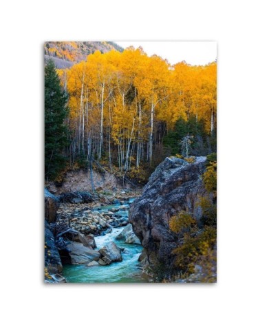 Wandbild für Wohnzimmer - Ein Bach im Wald | Feeby