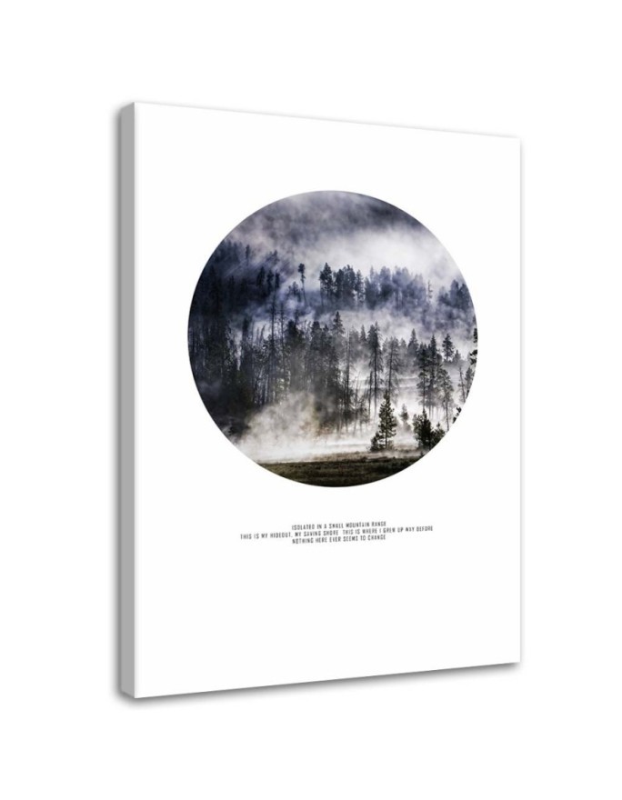 Modernes Wandbild - Wald im Nebel | Feeby