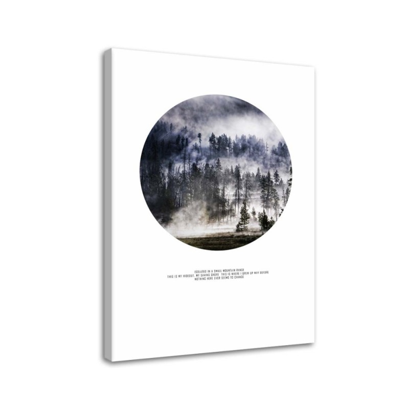 Modernes Wandbild - Wald im Nebel | Feeby