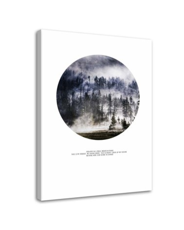 Modernes Wandbild - Wald im Nebel | Feeby