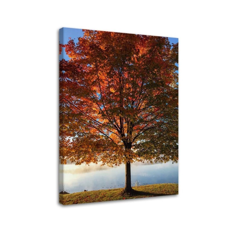 Leinwandbild - Herbstbaum | Feeby