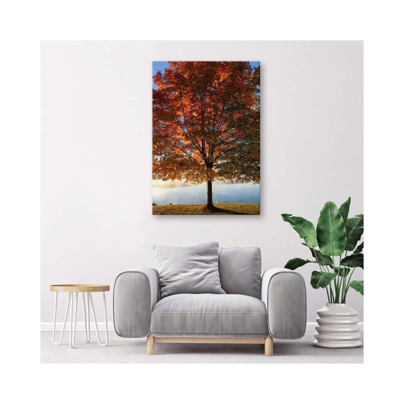 Leinwandbild - Herbstbaum | Feeby