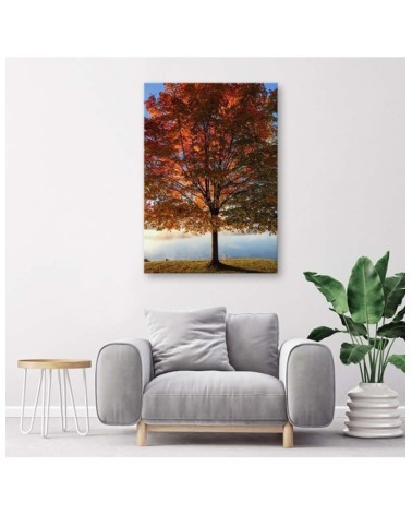 Leinwandbild - Herbstbaum | Feeby