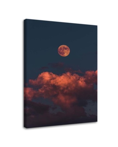 Modern Canvas painting for living room - Pink clouds | FEEBY
