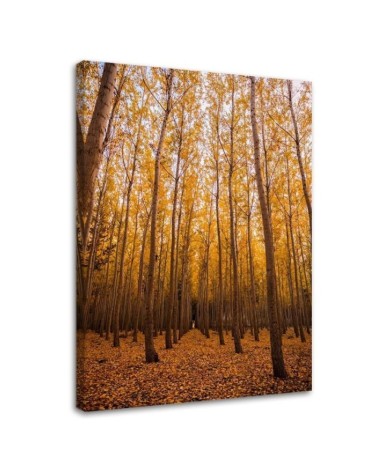 Wandbild für Wohnzimmer - Birken und Blätter | Feeby